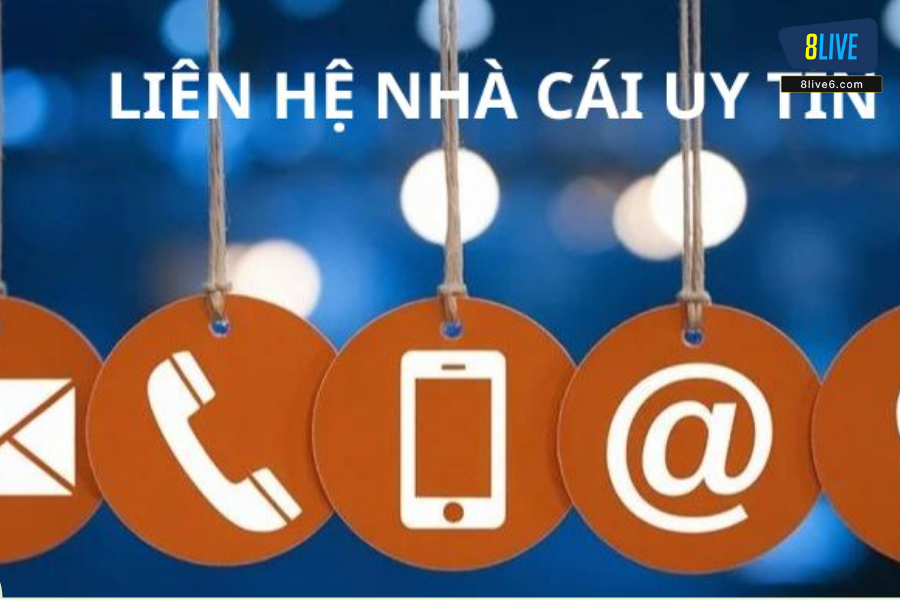 Bạn hãy chuẩn bị và cung cấp đầy đủ thông tin